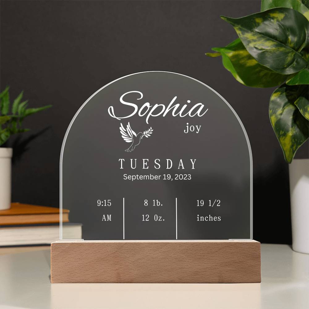 Domed Acrylic Plaque-New Baby Info | Baby | Gift | New Born | Christmas