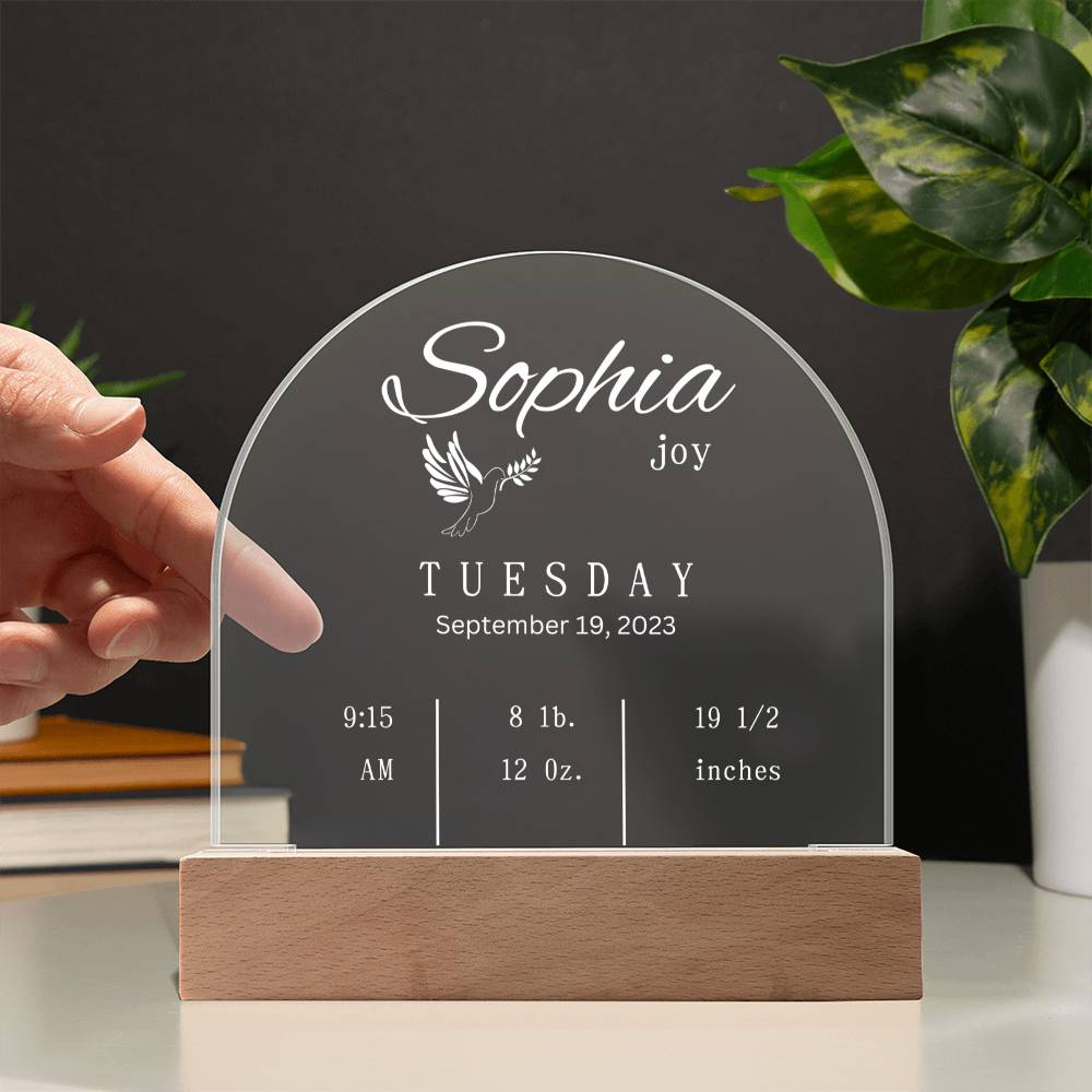 Domed Acrylic Plaque-New Baby Info | Baby | Gift | New Born | Christmas