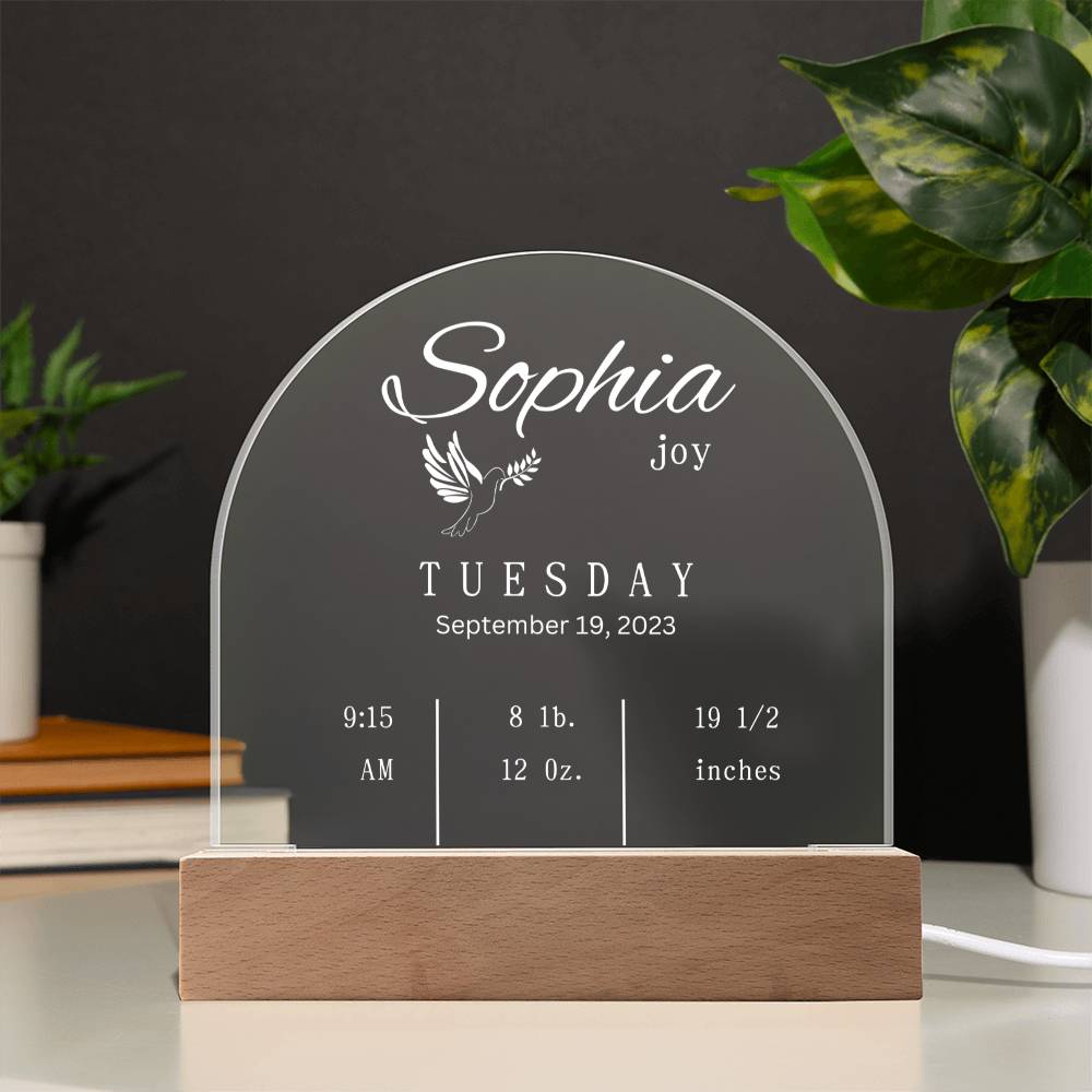 Domed Acrylic Plaque-New Baby Info | Baby | Gift | New Born | Christmas