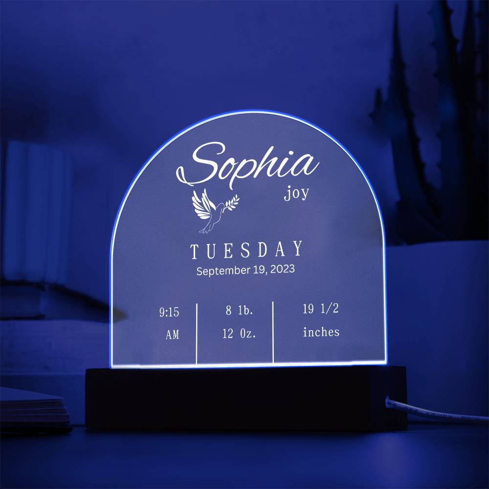 Domed Acrylic Plaque-New Baby Info | Baby | Gift | New Born | Christmas