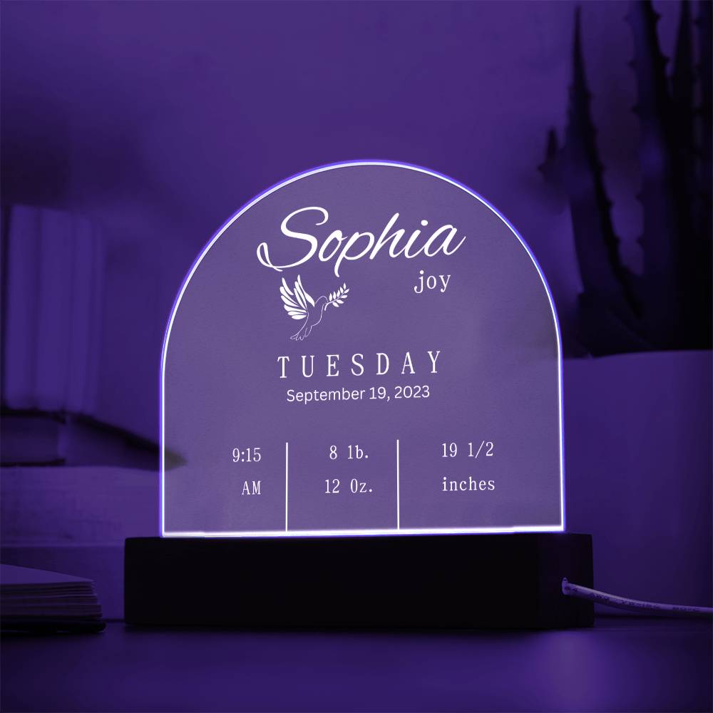 Domed Acrylic Plaque-New Baby Info | Baby | Gift | New Born | Christmas