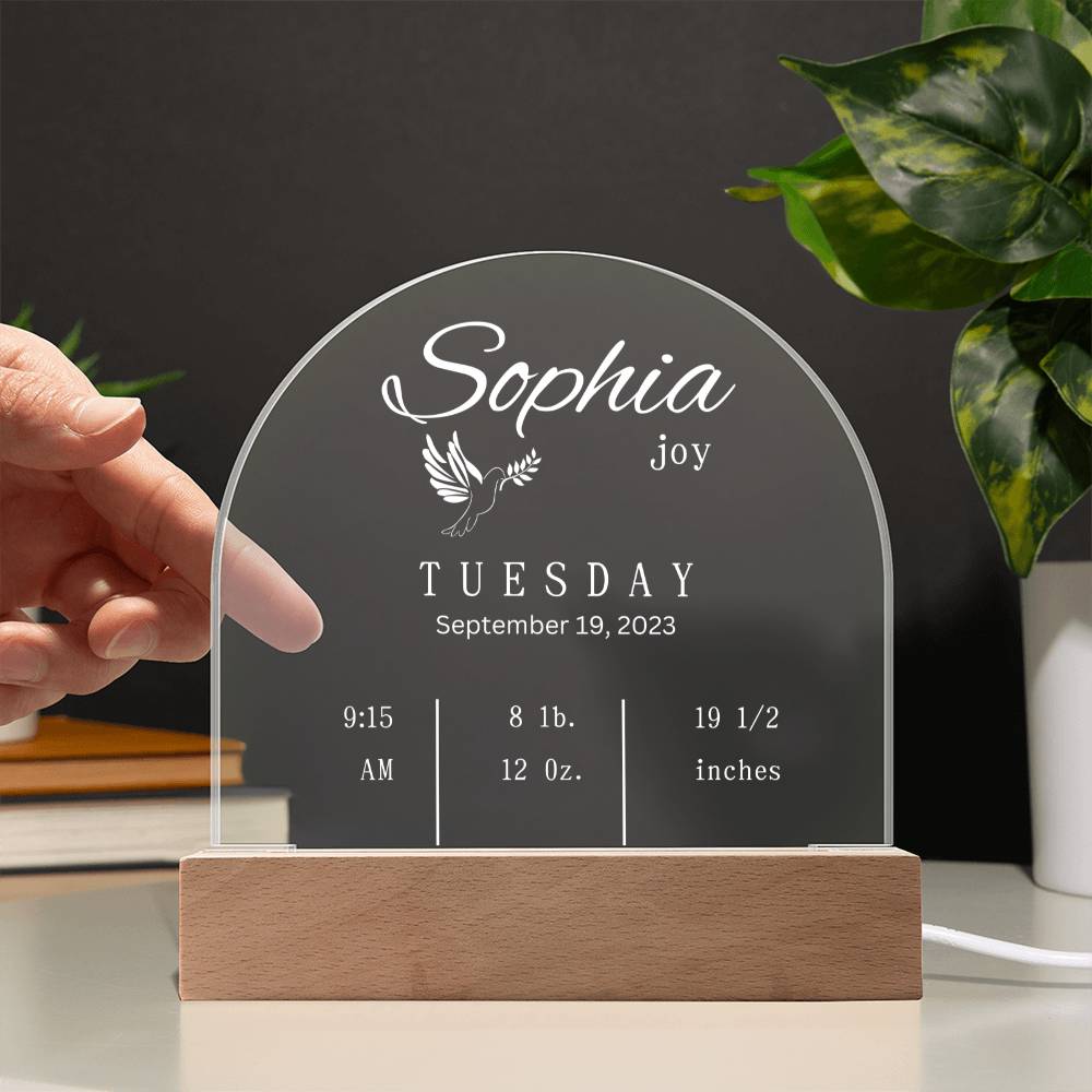 Domed Acrylic Plaque-New Baby Info | Baby | Gift | New Born | Christmas