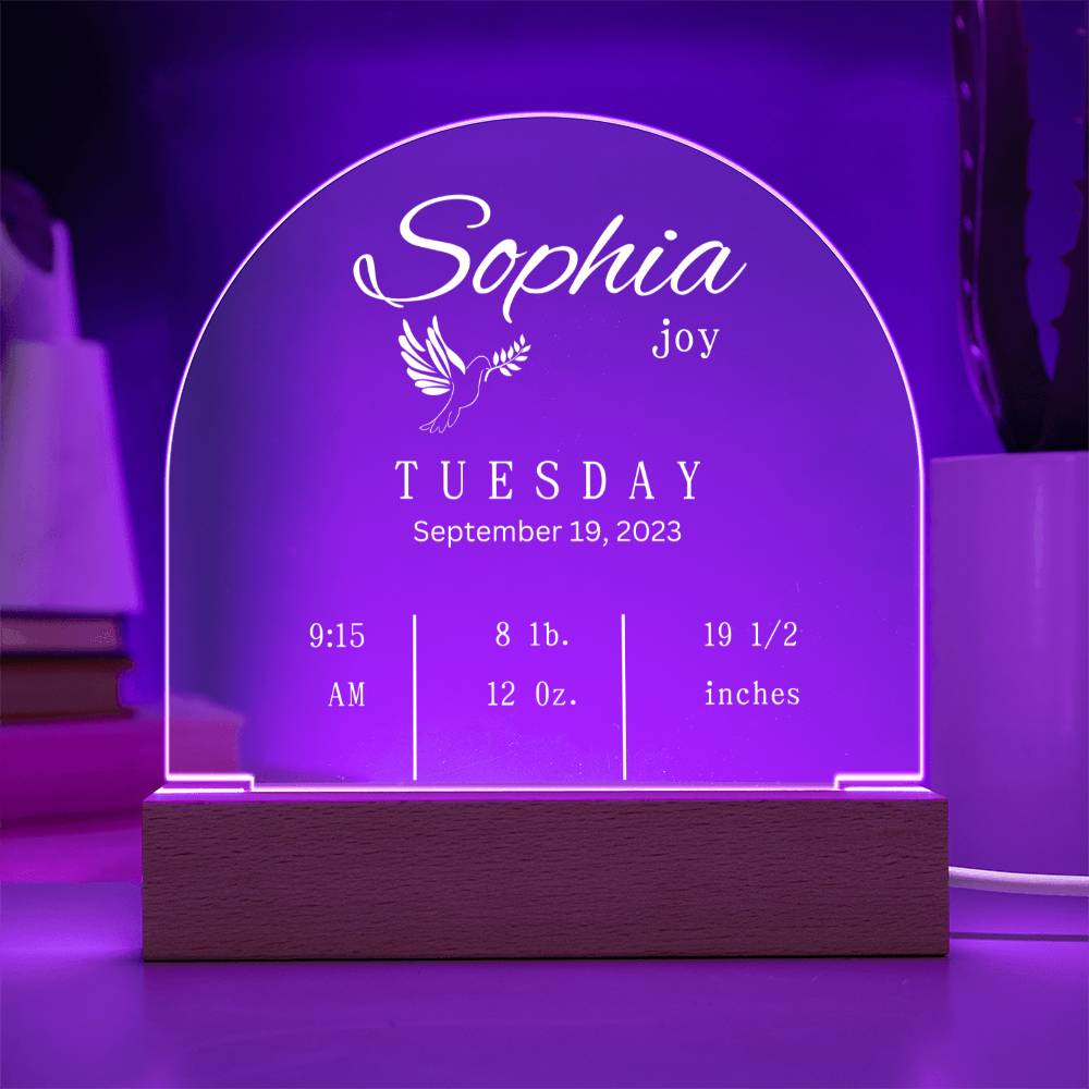 Domed Acrylic Plaque-New Baby Info | Baby | Gift | New Born | Christmas