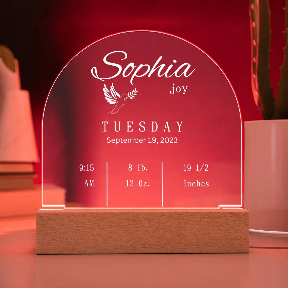 Domed Acrylic Plaque-New Baby Info | Baby | Gift | New Born | Christmas