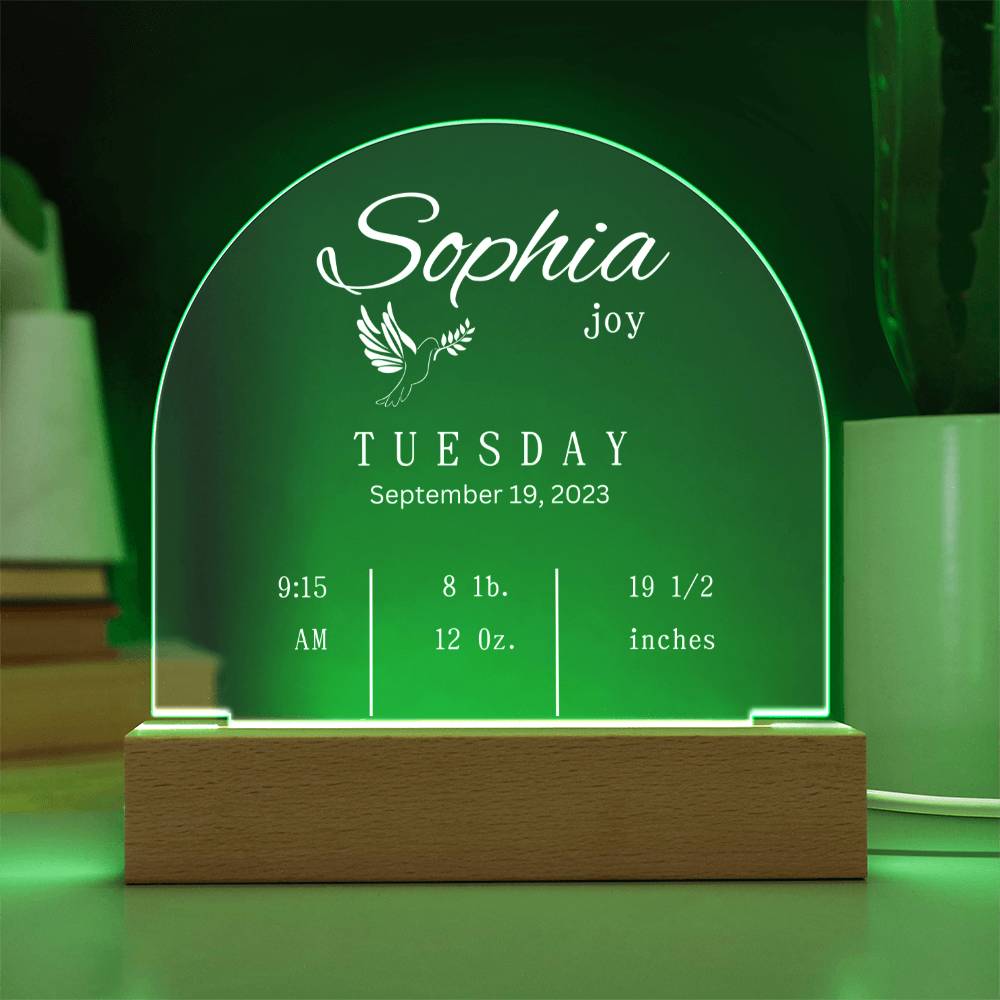 Domed Acrylic Plaque-New Baby Info | Baby | Gift | New Born | Christmas