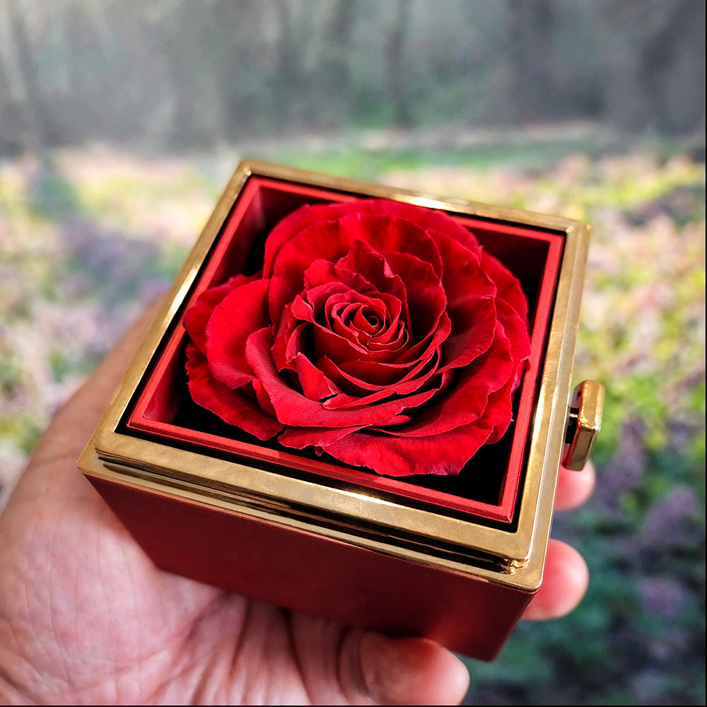 Rose Box | To my Soulmate | Your Last Everything | Love Knot Necklace