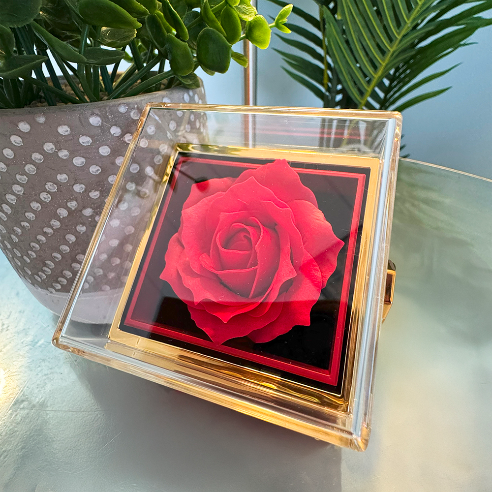 To My Soulmate | I Gave My Heart To You
