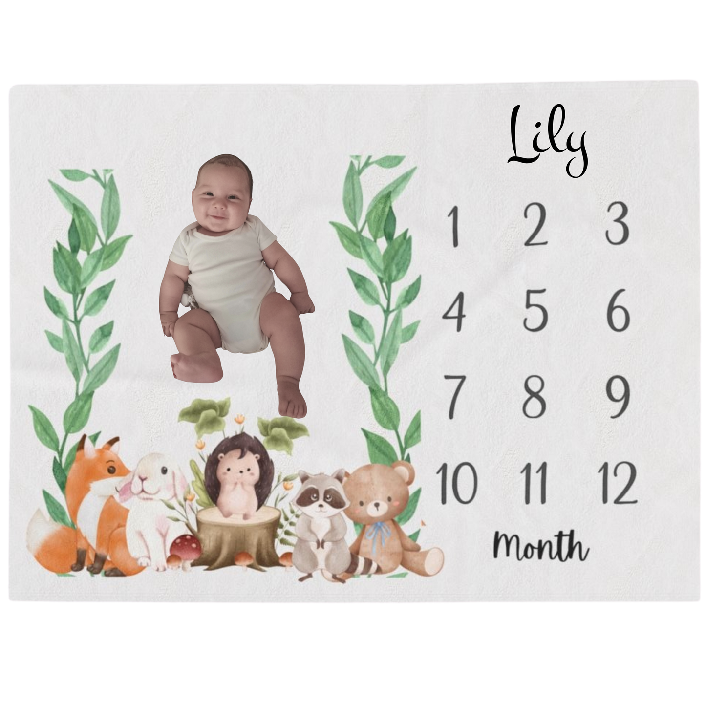 Plush Personalized Milestone Woodland Velveteen Blanket