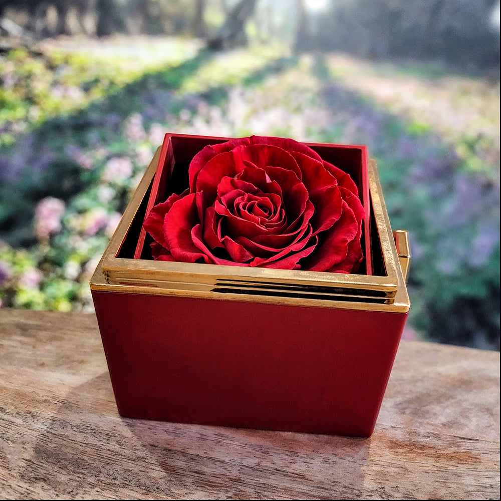Rose Box |  To my Soulmate | Your Last Everything | Love Knot Necklace